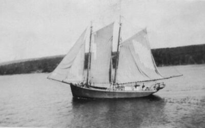 FF025