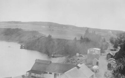 BC011
