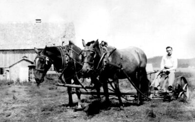 FF044