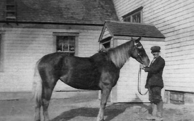 FF121