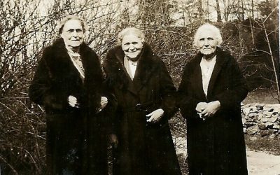 fam238